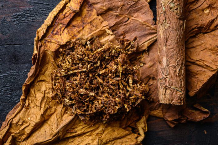 Las 8 mejores fragancias de tabaco para mujer